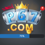 P67 Game