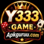 Y333 Game