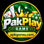 PakPlay Game